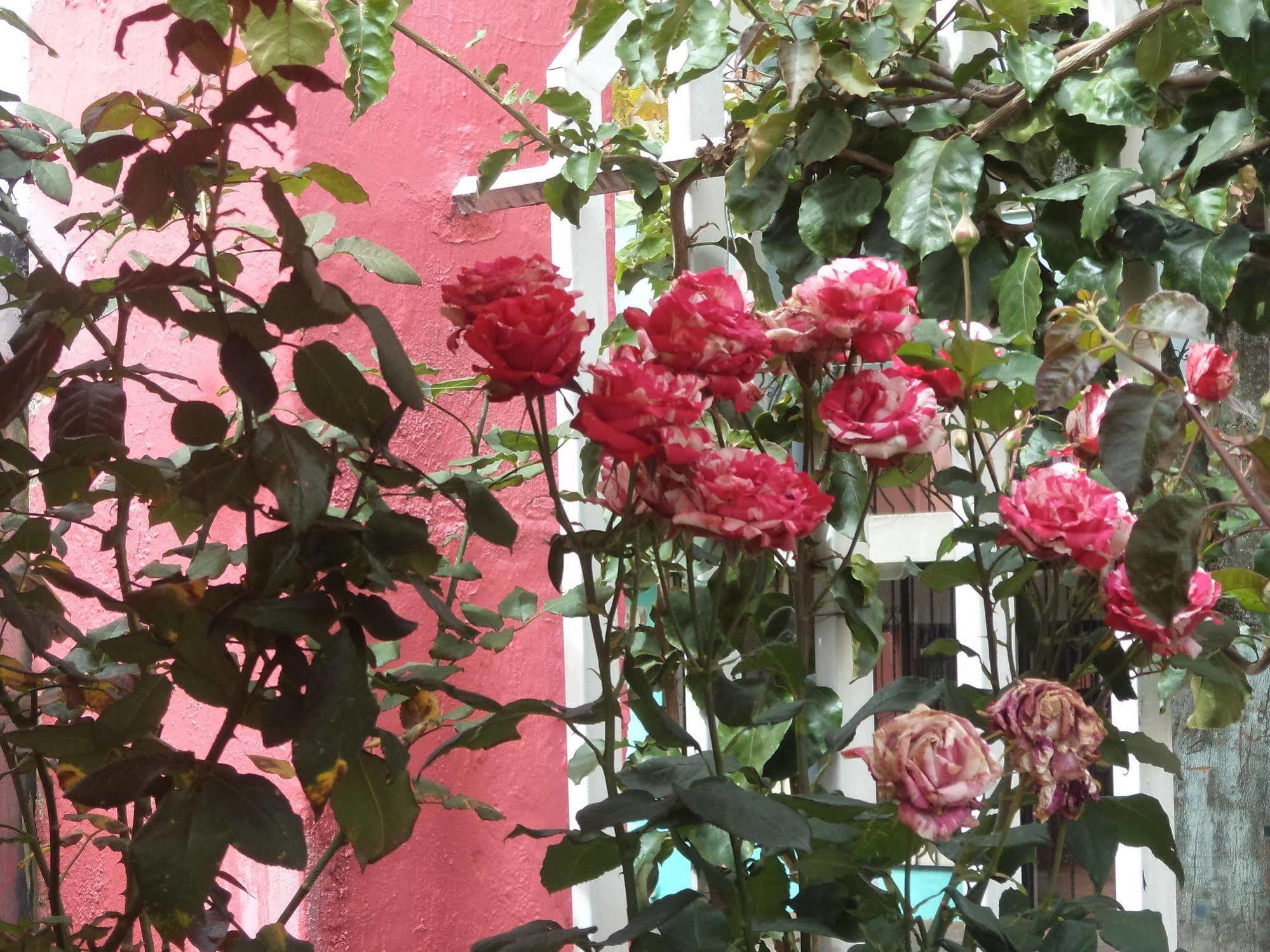 Hostal Imperial Quito Exteriör bild